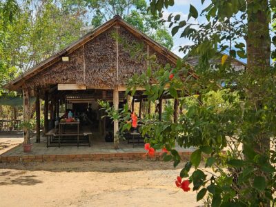 Borneo camp structure surrounded by plants