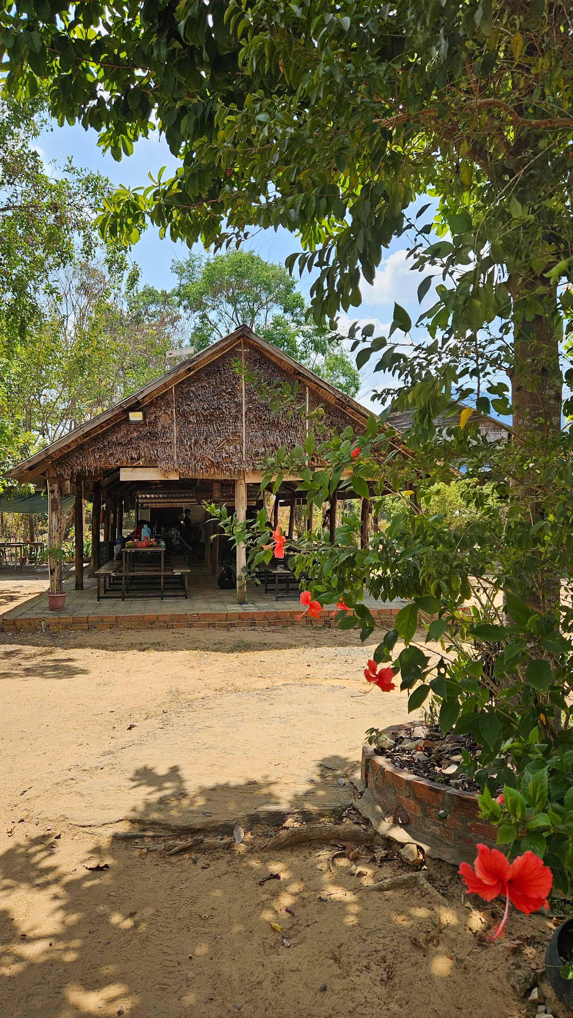 Borneo camp structure surrounded by plants