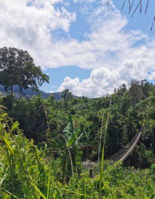 Borneo view from a trek adventure