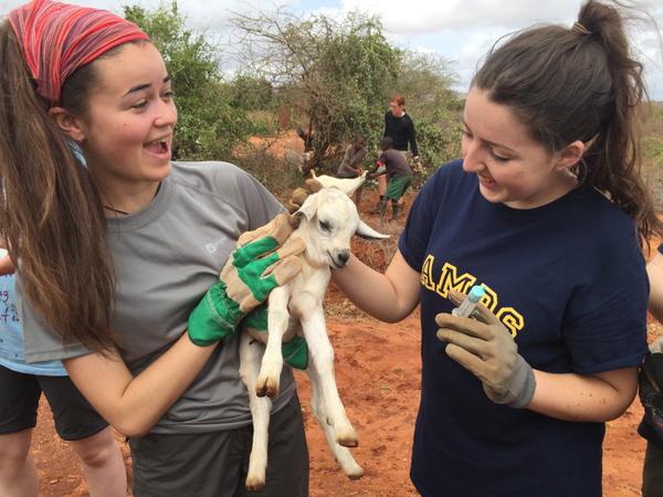 camps_international_animal_welfare
