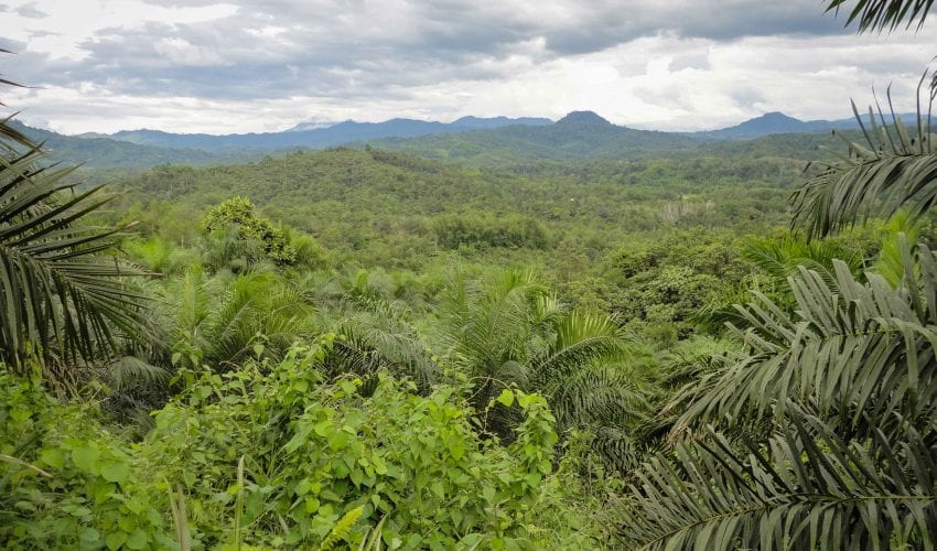 camps_international_contact_us_borneo-3