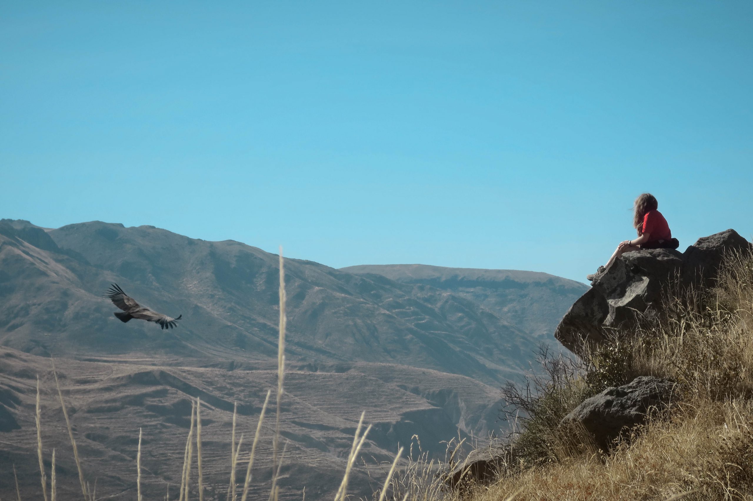 camps_international_contemplating_over_mountain_global_compact