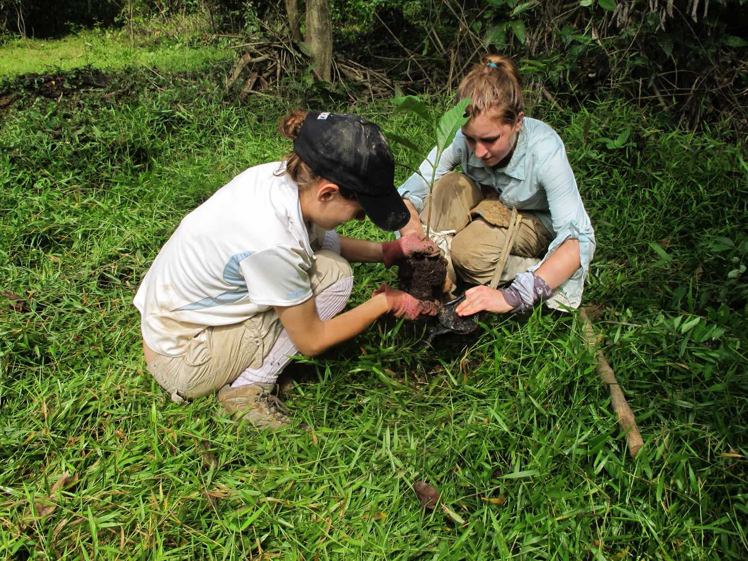 camps_international_environmental_protection