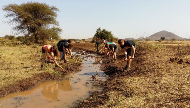 Conservation work