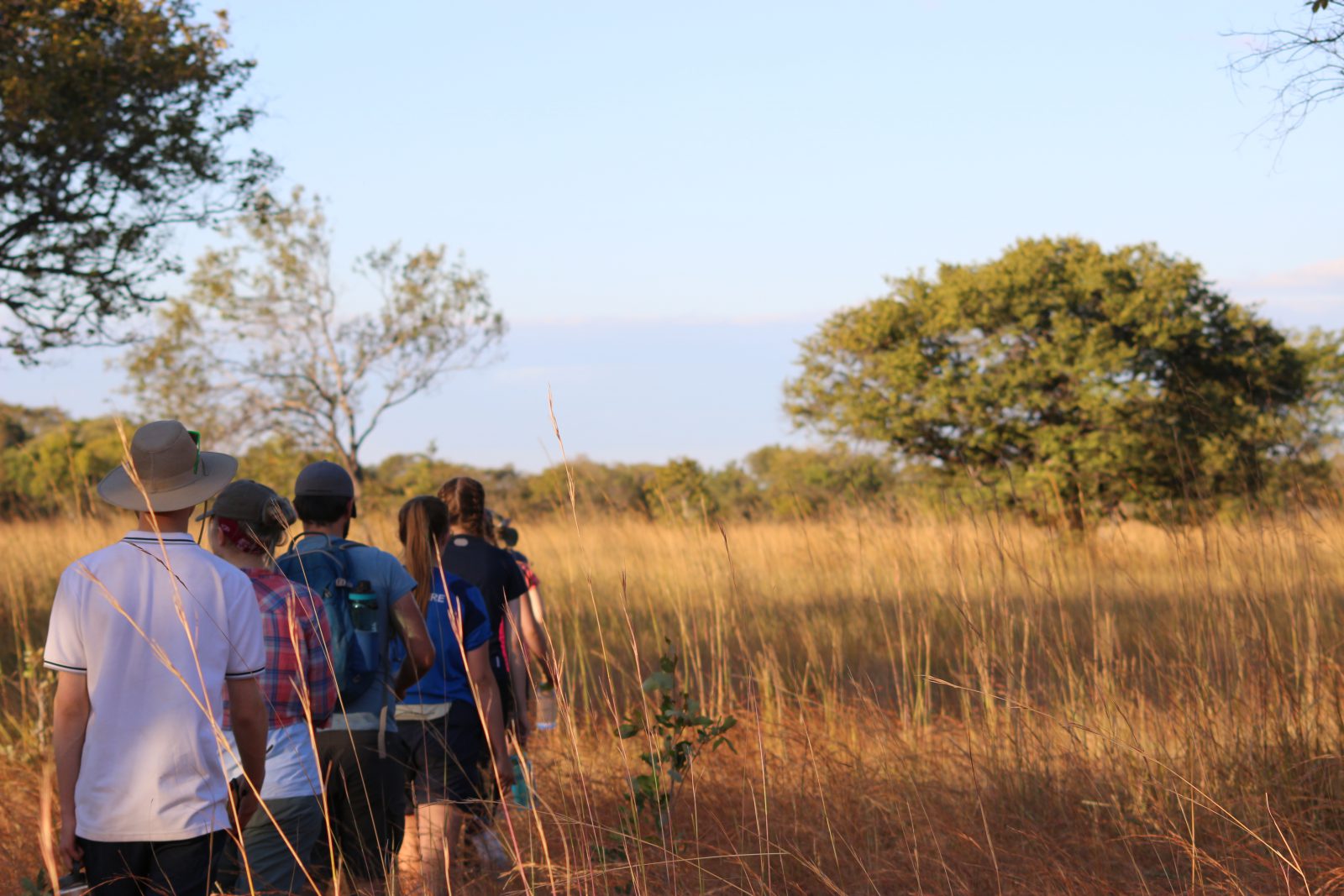 People trekking through the safari