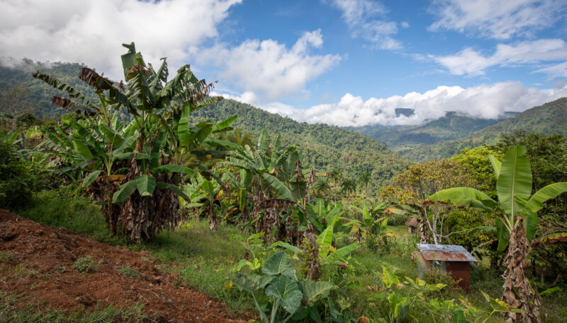 Costa Rica, Chirripo mountains view
