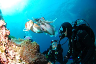 diving-689831