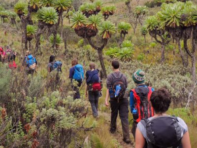 mount-elgon-trek_edited