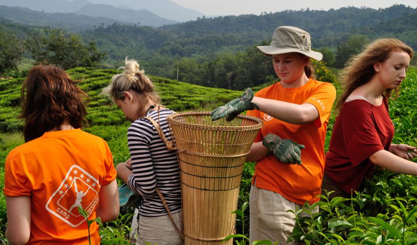 photo_competition_projects_category