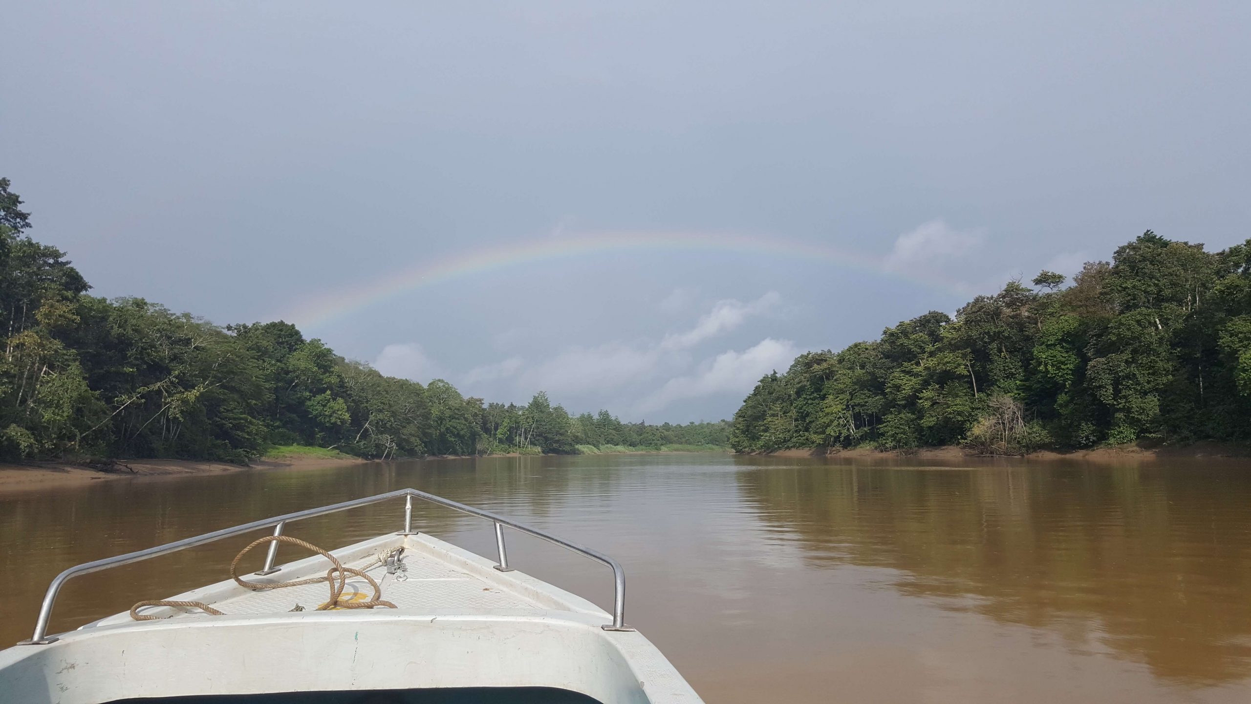 school_expedition_borneo_impact_kinabatangan_river-1