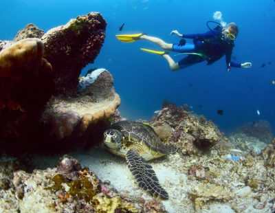Traveller scuba diving with a turtle