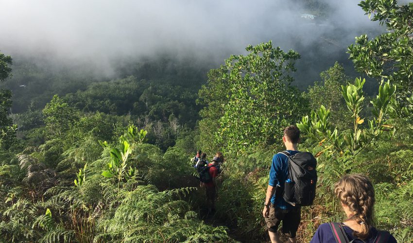 School expedition in Borneo - travellers on a trek in bongkud hill