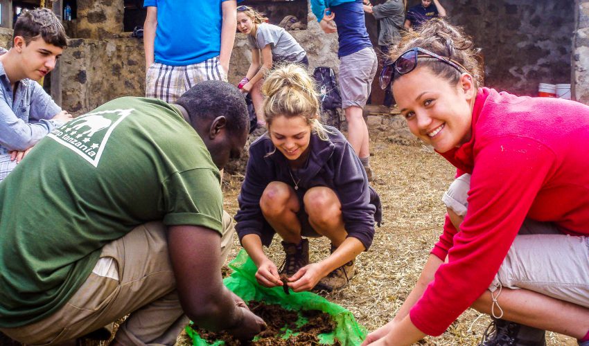 school_expedition_tanzania_impact_elephant_dung_paper