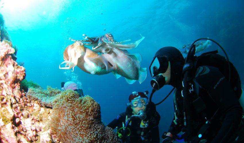 school_expedition_tanzania_scuba_underwater_dive
