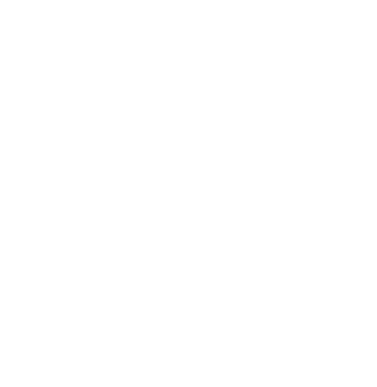 Camp Borneo logo in white.