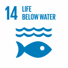 14 Life below water