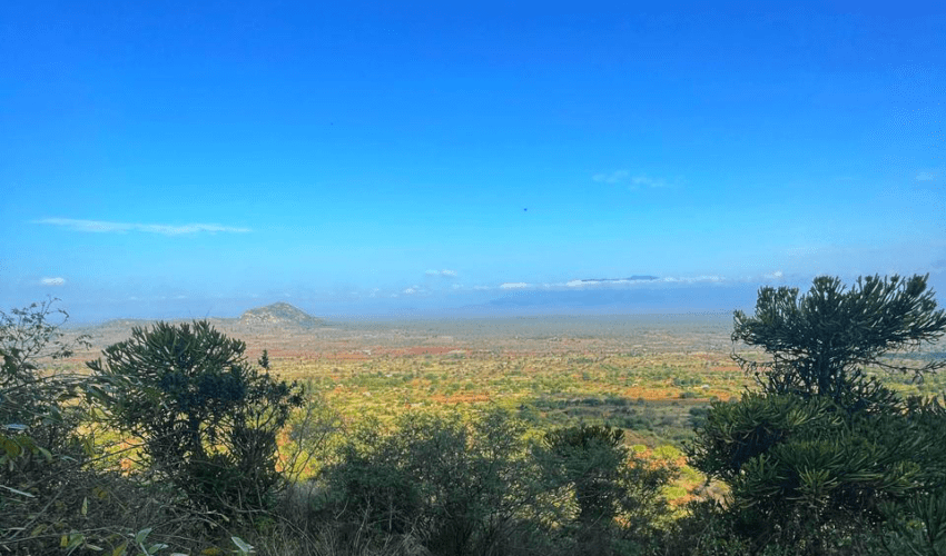 Panoramic Views - Kenya, Teacher Taster Trip
