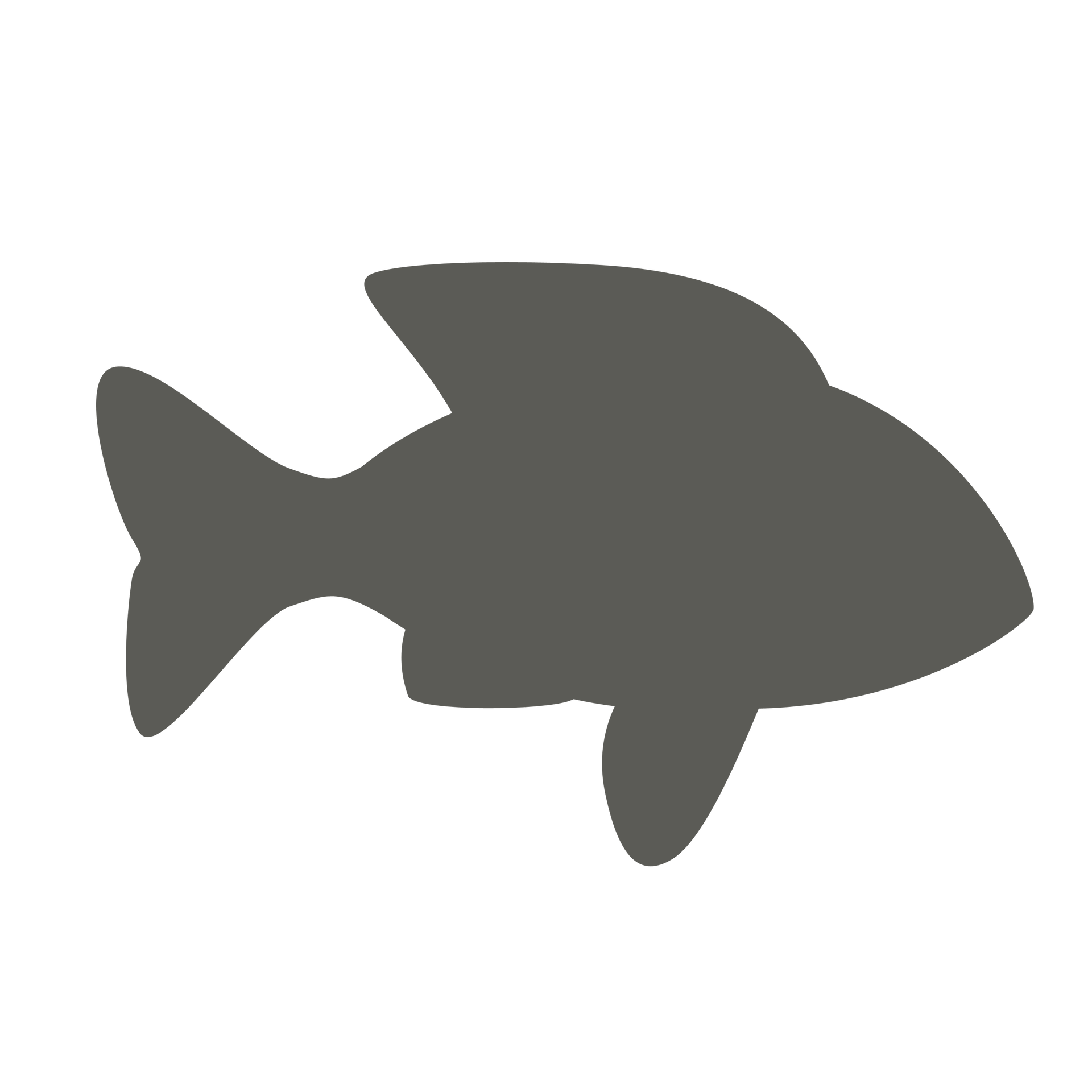 grey fish graphic